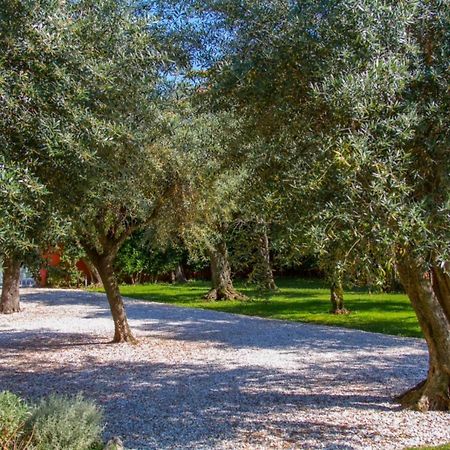 סרבצה Suite Agave מראה חיצוני תמונה