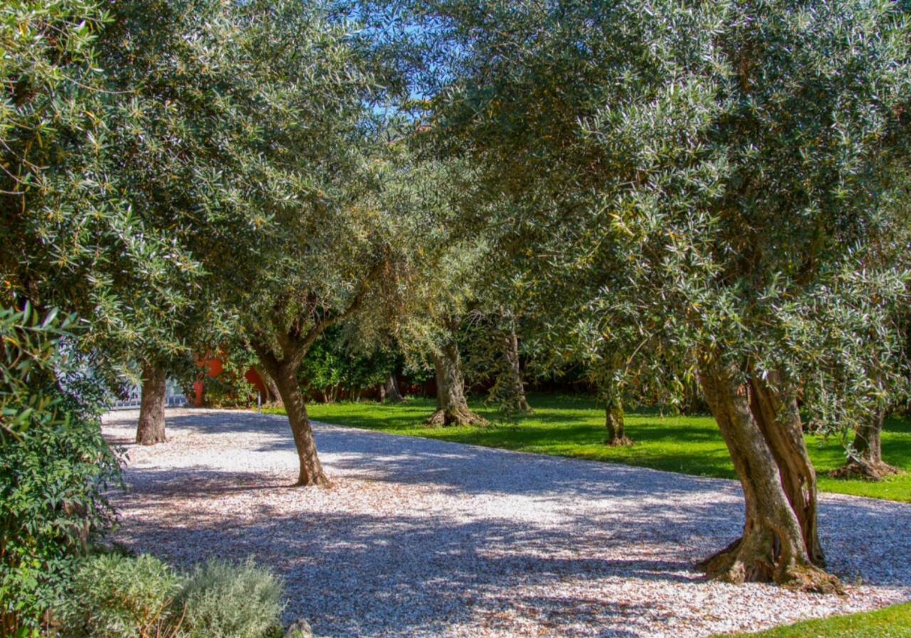 סרבצה Suite Agave מראה חיצוני תמונה